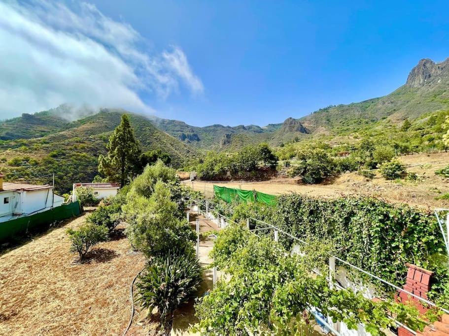 Tenteniguada Enjoy Nature Villa Las Palmas de Gran Canaria Zewnętrze zdjęcie